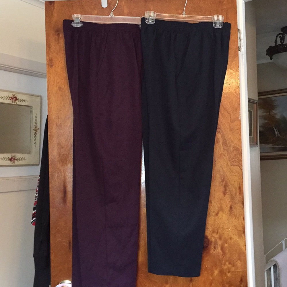 Two Pairs Of Briggs Brand Pants Elastic W Nwot - image 2